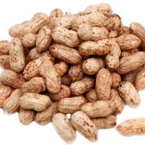 Fresh Groundnut