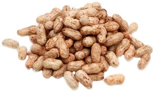 Fresh Groundnut