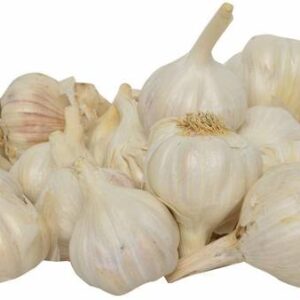 Garlic Regular