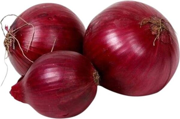 Onion Fresh New Crop