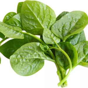 Pui saag Leafy