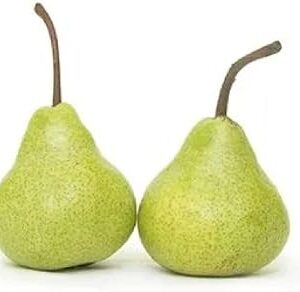 Fresh Pear Green,(Pack of 2)