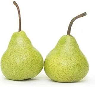 Fresh Pear Green,(Pack of 2)