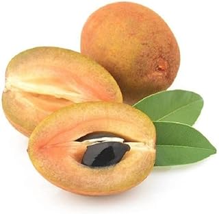 Fresh Sapota – 500g