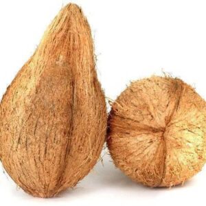 Coconut Premium