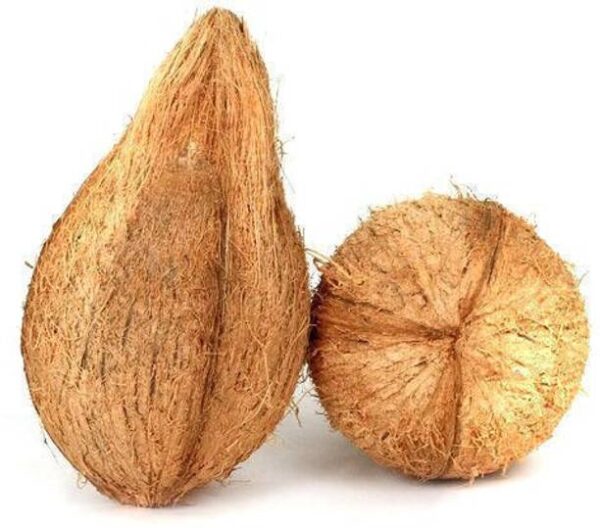 Coconut Premium