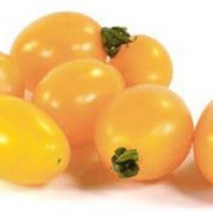 Cherry Tomato Yellow