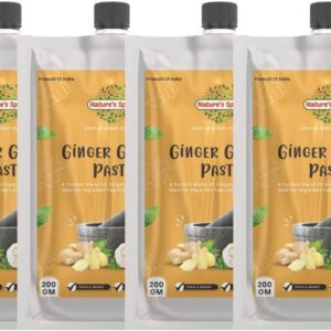 Nature's Spice Ginger Garlic Paste - 800 Grams