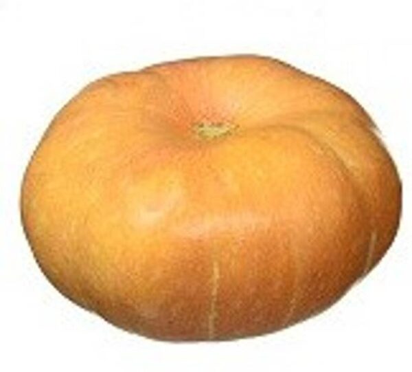 Namdhari’s FRESH Pumpkin