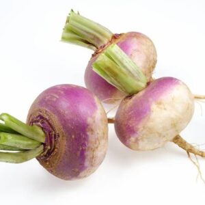 Turnip