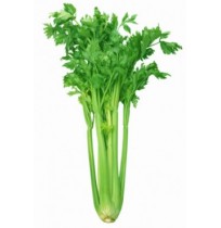Celery (Smaller Sized)