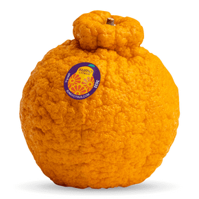 Fresh Sumo, Each