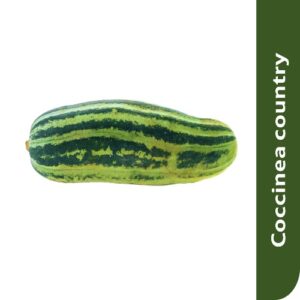 Starfresh Coccinea(Tendli)Prepack