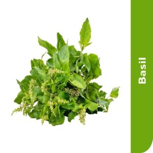 Starfresh Basil