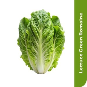 Starfresh Lettuce Green Romaine