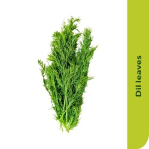 Starfresh Dill Leaves Bunch
