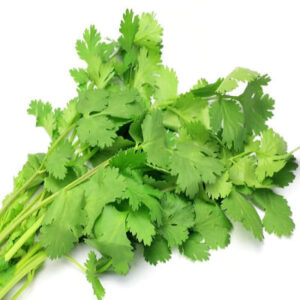 Starfresh Coriander Bunch