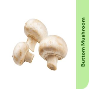 Starfresh Button Mushroom