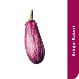 Starfresh Brinjal Kateri