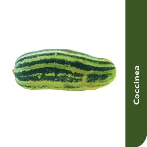 Starfresh Coccinea(Tendli)