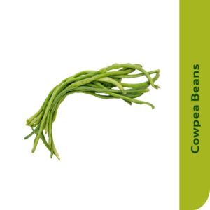 Starfresh Beans Cowpea (Chawli)