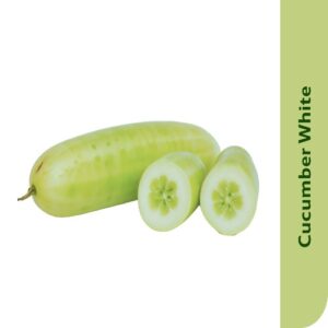 Starfresh Cucumber White
