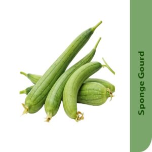 Starfresh Sponge Gourd