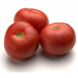 Starfresh Tomato Local