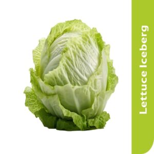 Starfresh Lettuce Iceberg