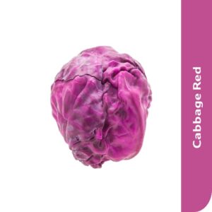 Starfresh Cabbage Red About