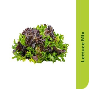 Starfresh Lettuce Mix