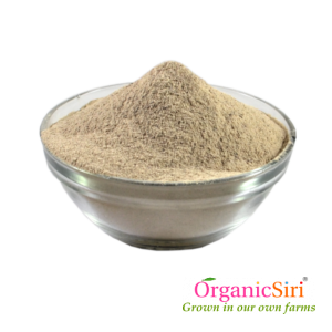Aamchur Powder 100g