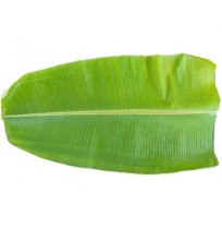 Banana Leaf (Pack of 4)