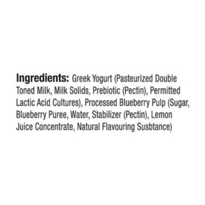 Epigamia Blueberry Greek Yogurt, 85..