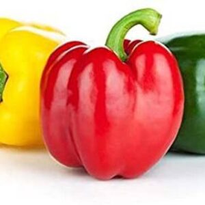 Capsicum Mixed color