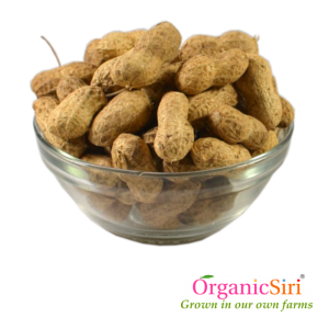 Groundnut Dry Pods 500g