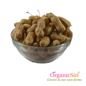Groundnut Fresh Pods 500g