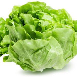 Lettuce Butterhead