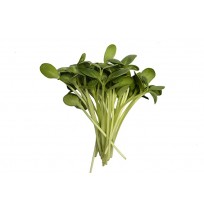 Micro Greens - Sunflower Shoots (50gms, Harve...
