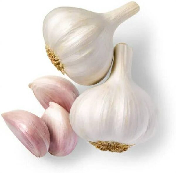 Garlic Loose