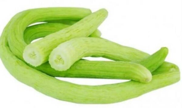 Long Cucumber(Kakdi)