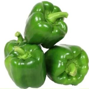 Organic Green Capsicum Organically Grown