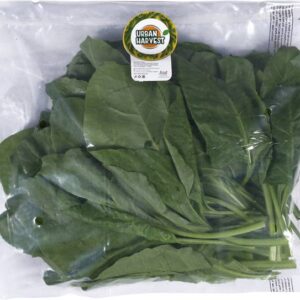 Urban Harvest Premium Fresh Spinach - Without Roots Lea...