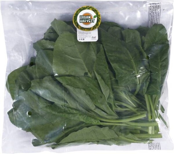 Urban Harvest Premium Fresh Spinach – Without Roots Lea…