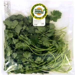 Urban Harvest Premium Fresh Coriander - Without Roots