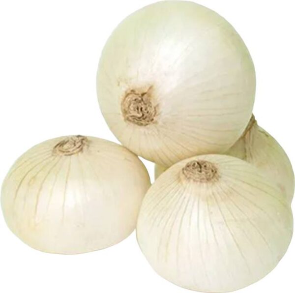 Urban Harvest Onion White