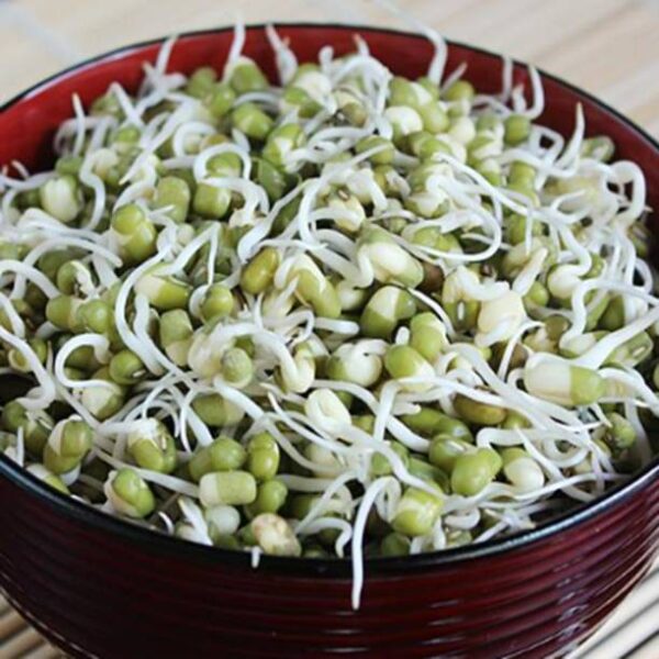 Moong Sprouts Peeled