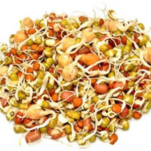 Urban Harvest Mixed Sprouts Peeled