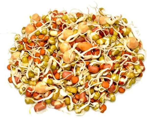 Urban Harvest Mixed Sprouts Peeled