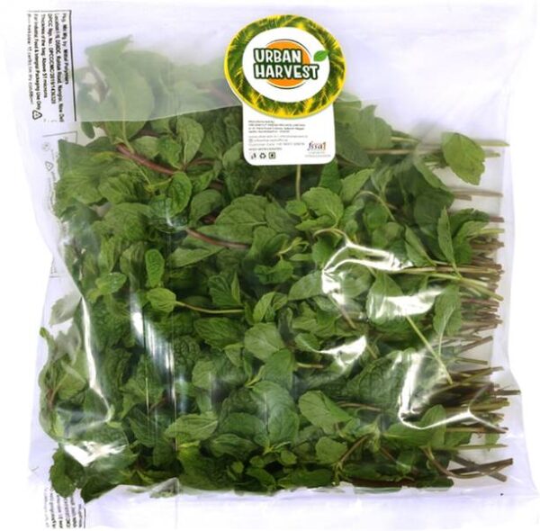 Urban Harvest Premium Fresh Mint Leaves – Without Roots